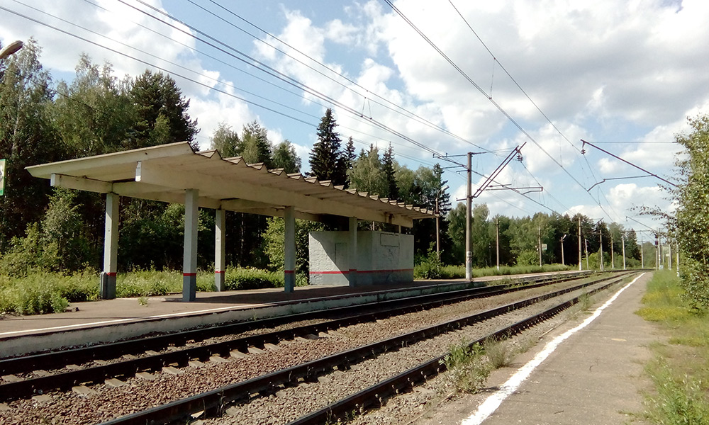  Подмосковье, лето 2016
