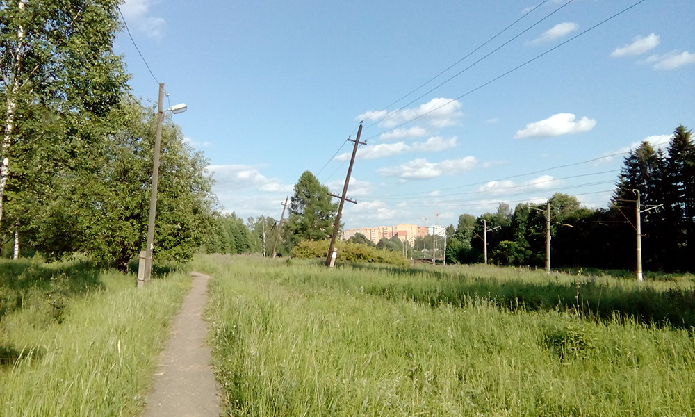  Подмосковье, лето 2016