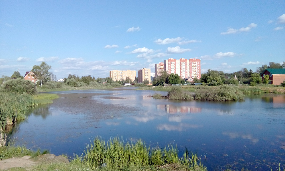  Подмосковье, лето 2016