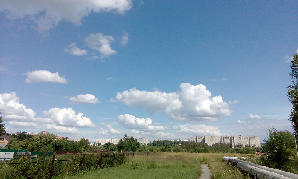  Подмосковье, лето 2016
