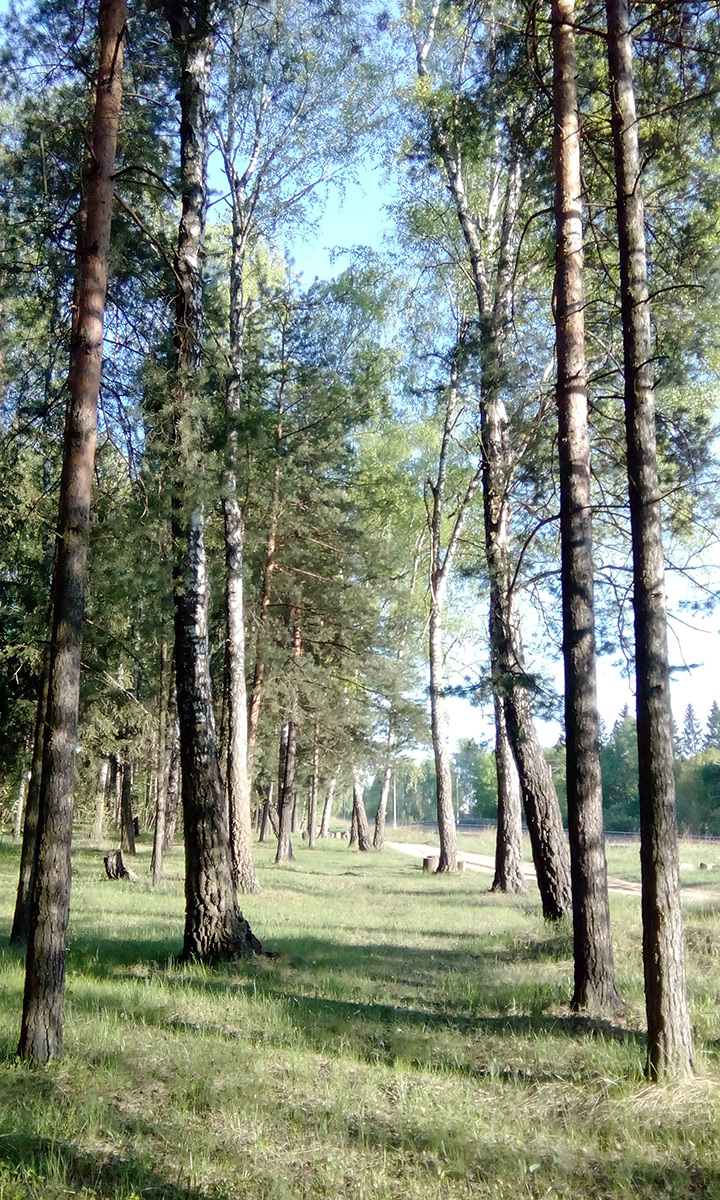  Подмосковье, весна 2016