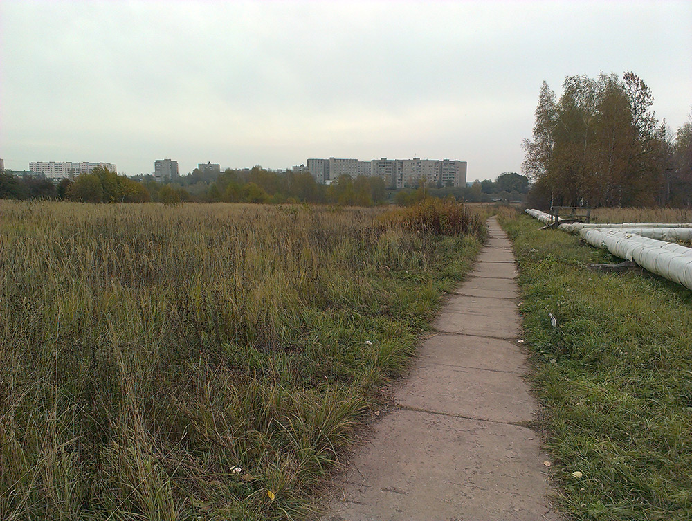  Подмосковье, осень 2015