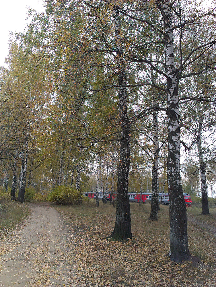  Подмосковье, осень 2015