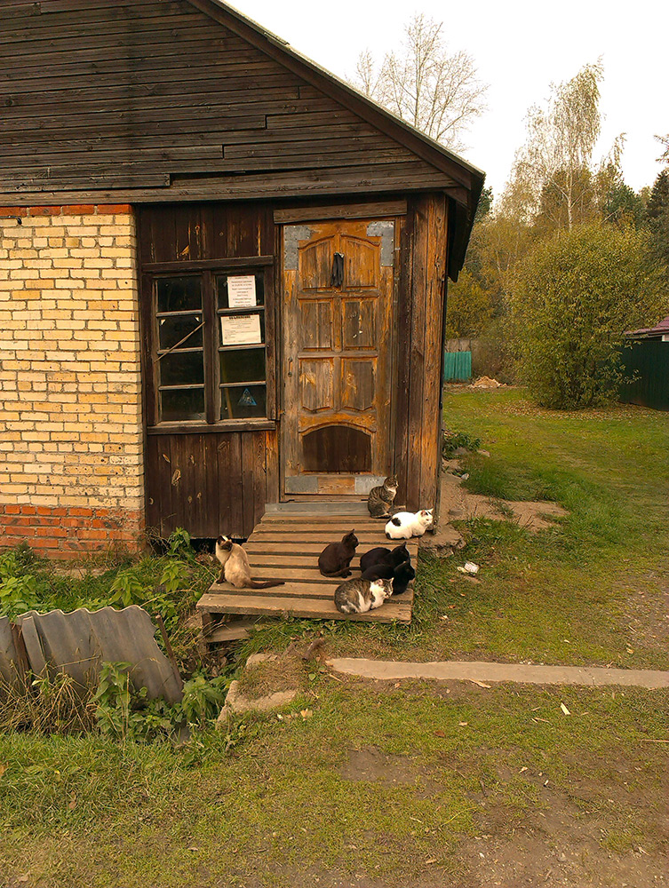  Подмосковье, осень 2015