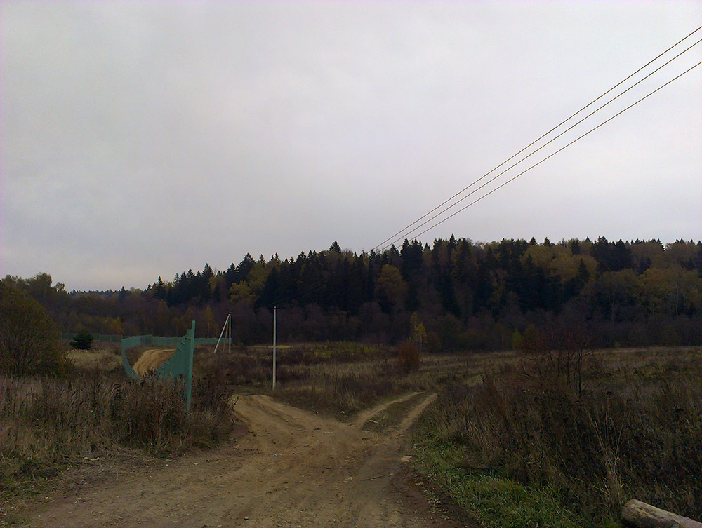  Подмосковье, осень 2015