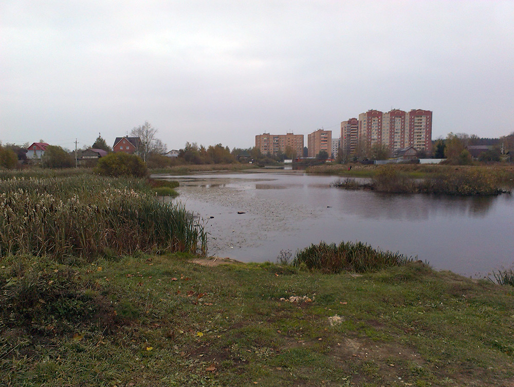  Подмосковье, осень 2015