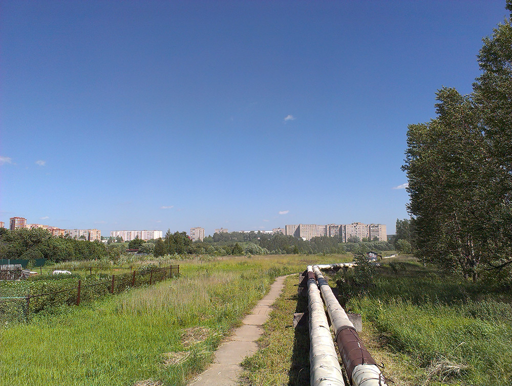  Подмосковье, лето 2015