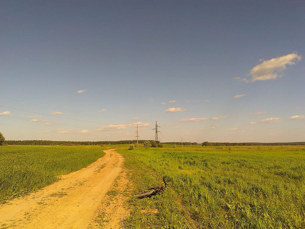  Подмосковье, лето 2015