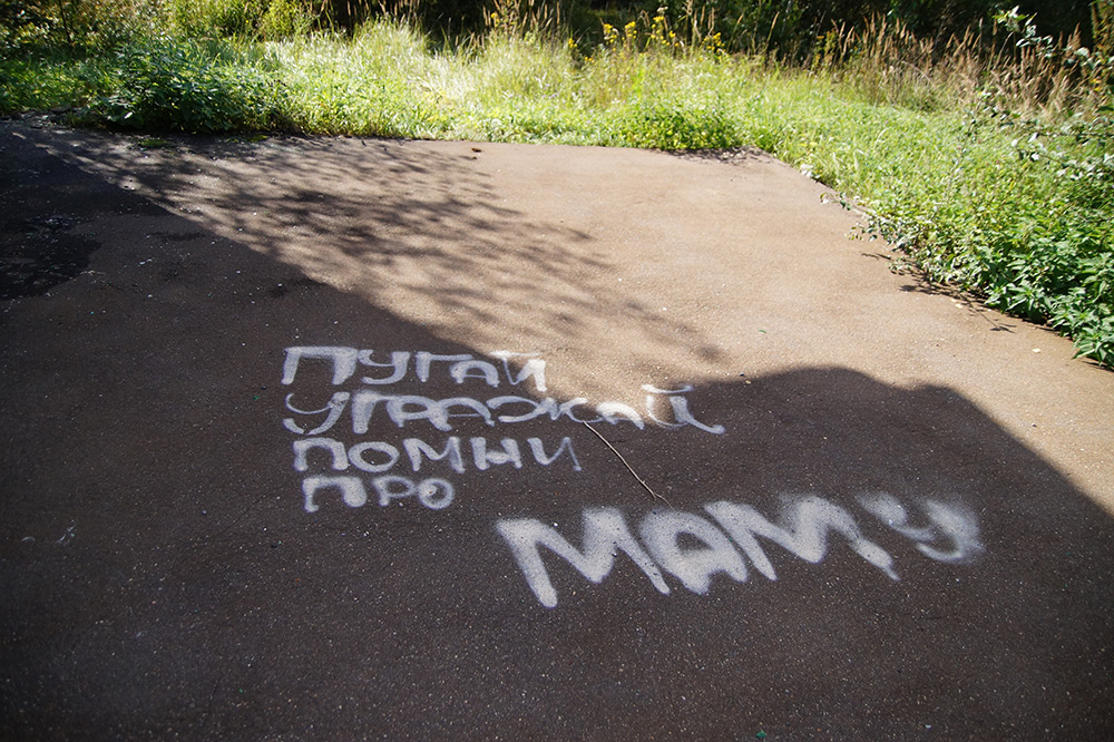  Подмосковье, лето 2015