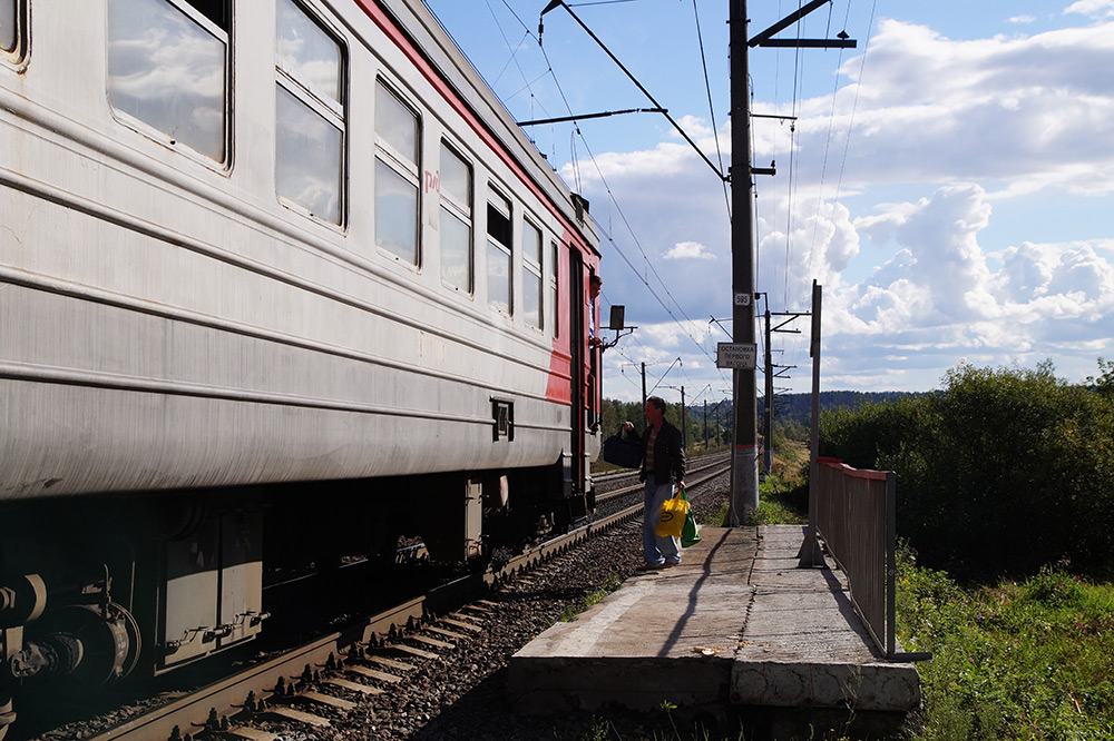  Подмосковье, лето 2015