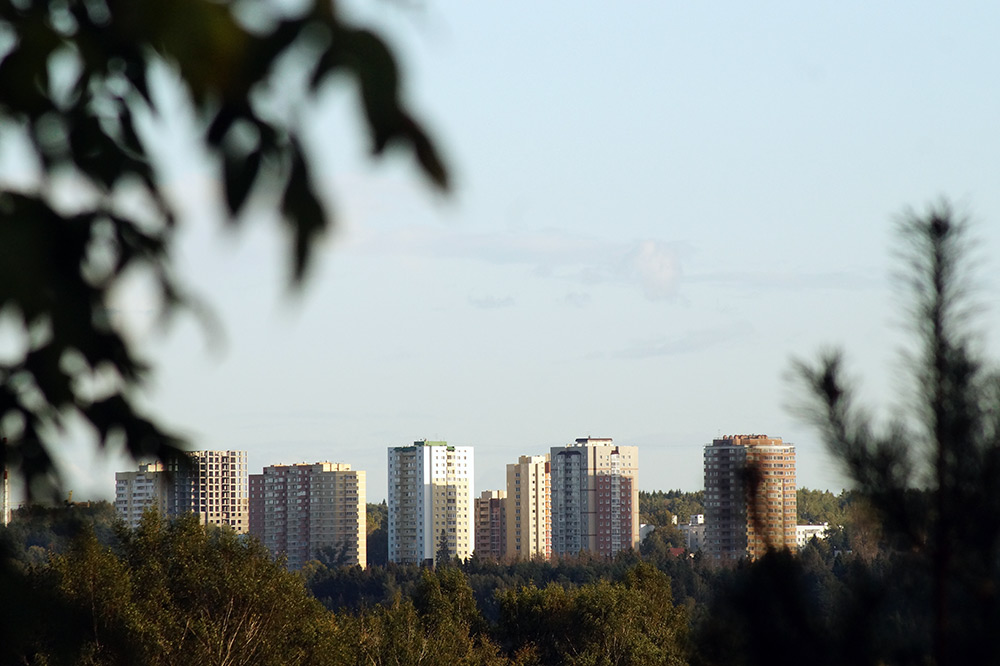  Подмосковье, лето 2015