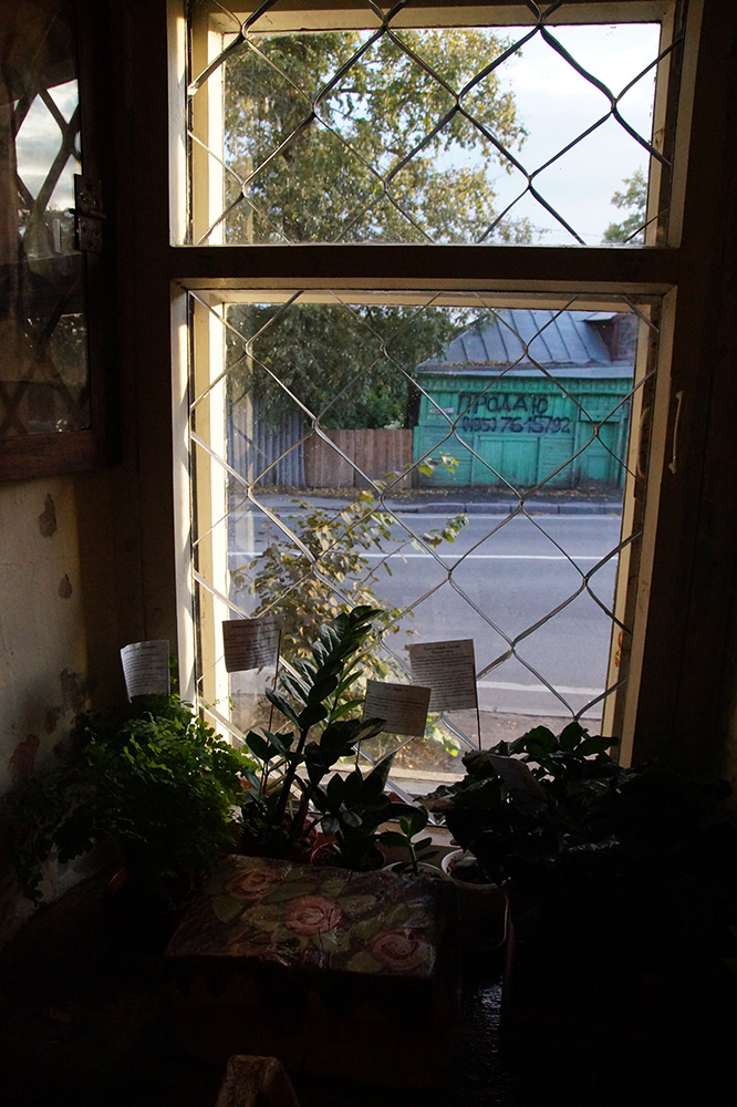  Подмосковье, лето 2015