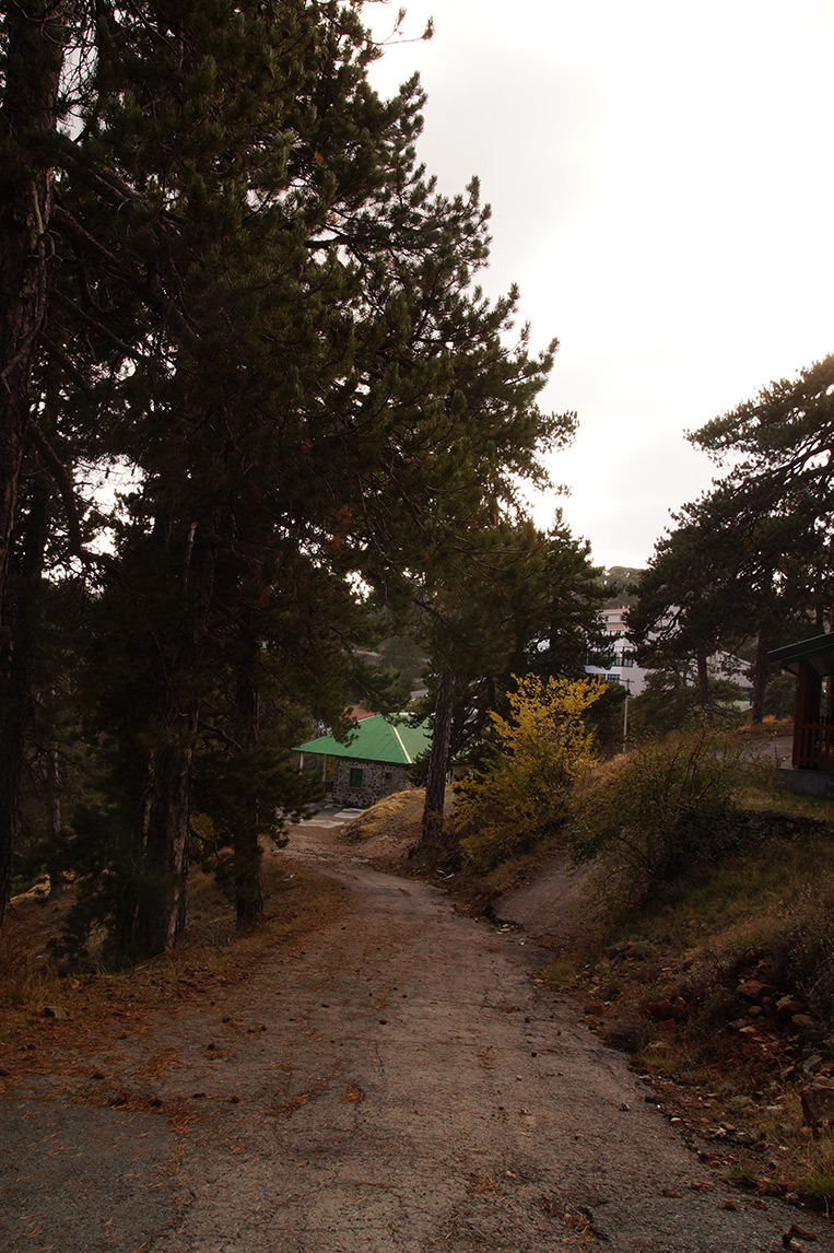   Кипр, осень 2015