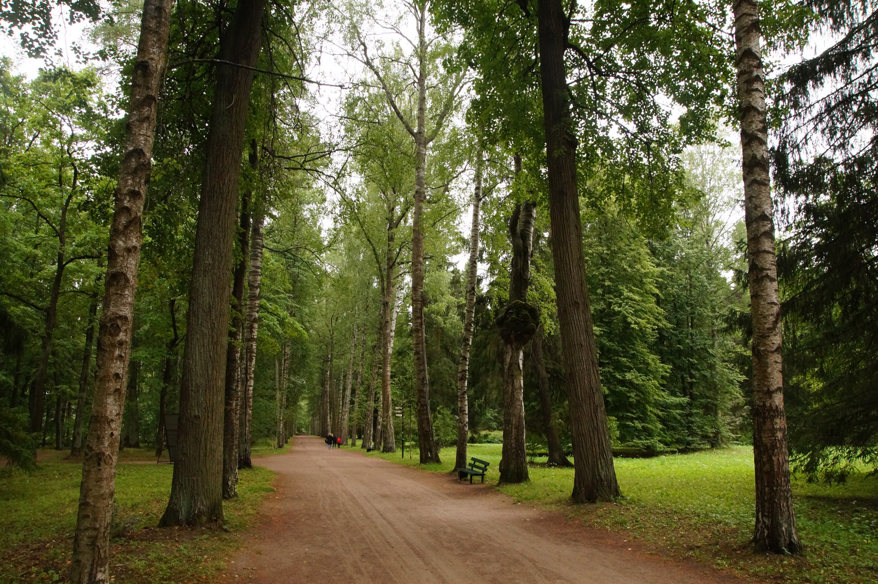 
Павловск, Санкт-Петербург, лето 2019
