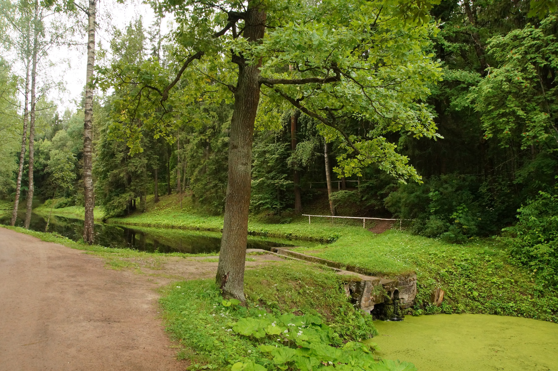 
Павловск, Санкт-Петербург, лето 2019